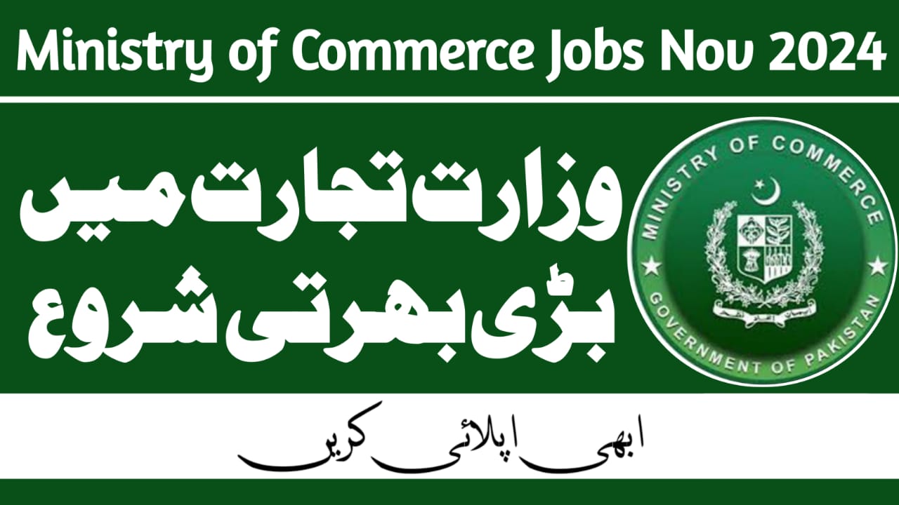 Ministry of Commerce Jobs Nov 2024