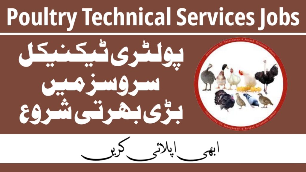 Poultry Technical Services Jobs Rahim Yar Khan 2024