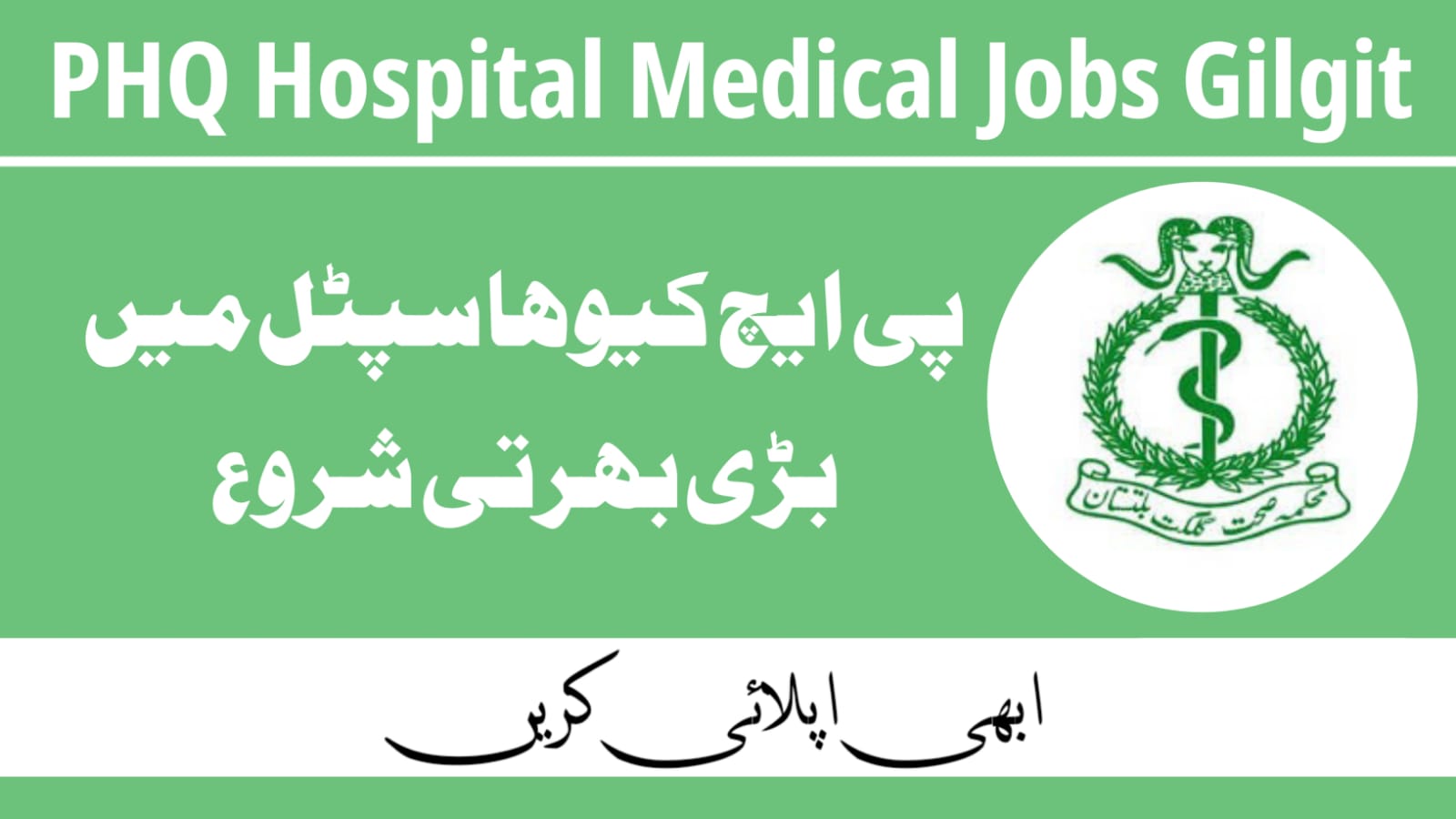 PHQ Hospital Gilgit Jobs 2025