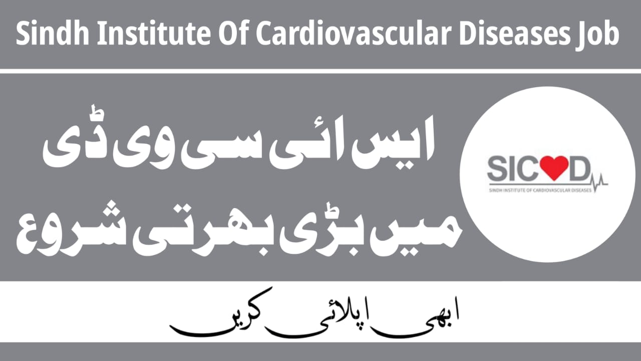 Sindh Institute of Cardiovascular Diseases Jobs